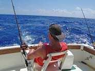 term life insurance